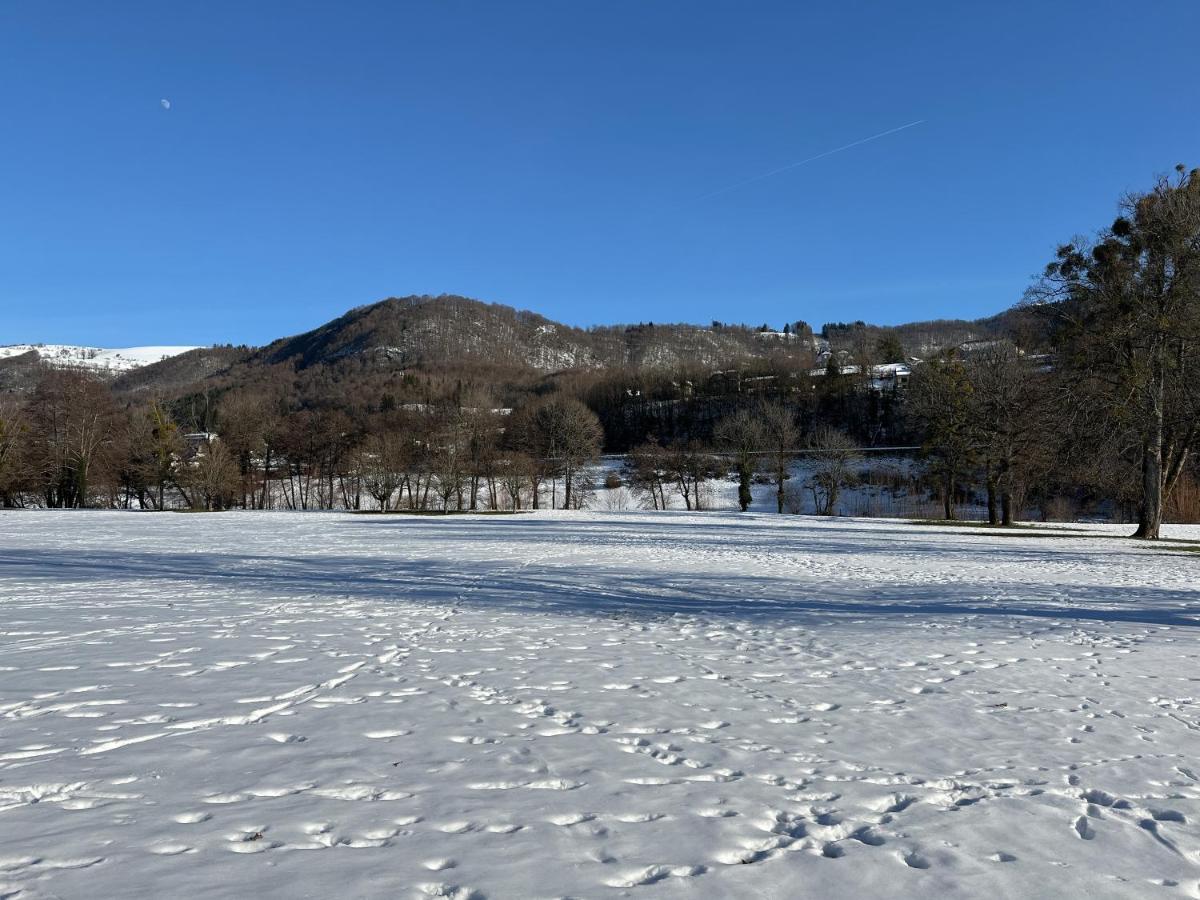 Belle Maison De Ville Au Coeur Du Village De Montagne Vic-sur-Cère Esterno foto