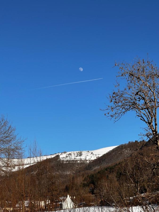 Belle Maison De Ville Au Coeur Du Village De Montagne Vic-sur-Cère Esterno foto