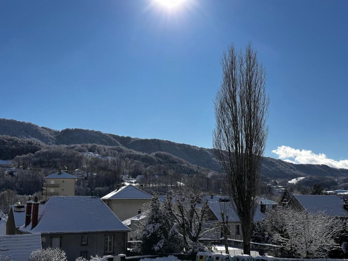 Belle Maison De Ville Au Coeur Du Village De Montagne Vic-sur-Cère Esterno foto